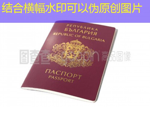 圣基茨移民护照办理：一本护照，打开全球150+国门的钥匙