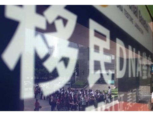 圣基茨移民中介哪家靠谱？三步锁定"隐形冠军"